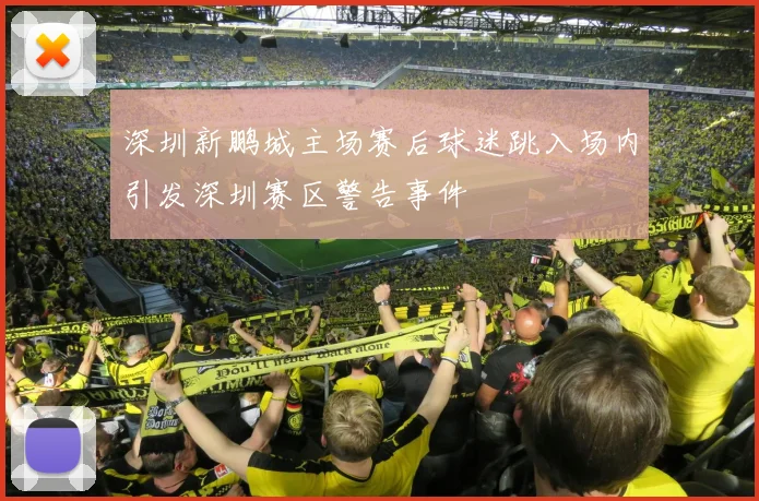 深圳新鹏城主场赛后球迷跳入场内引发深圳赛区警告事件